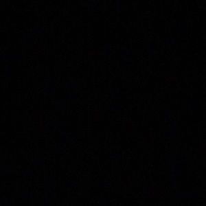 Meet your Posher, Lexi